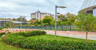 Профессиональное озеленение улиц в Соли-Илецке в октябре