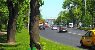 Посадка деревьев и кустарников в Соли-Илецке — стоимость от 1250 руб.